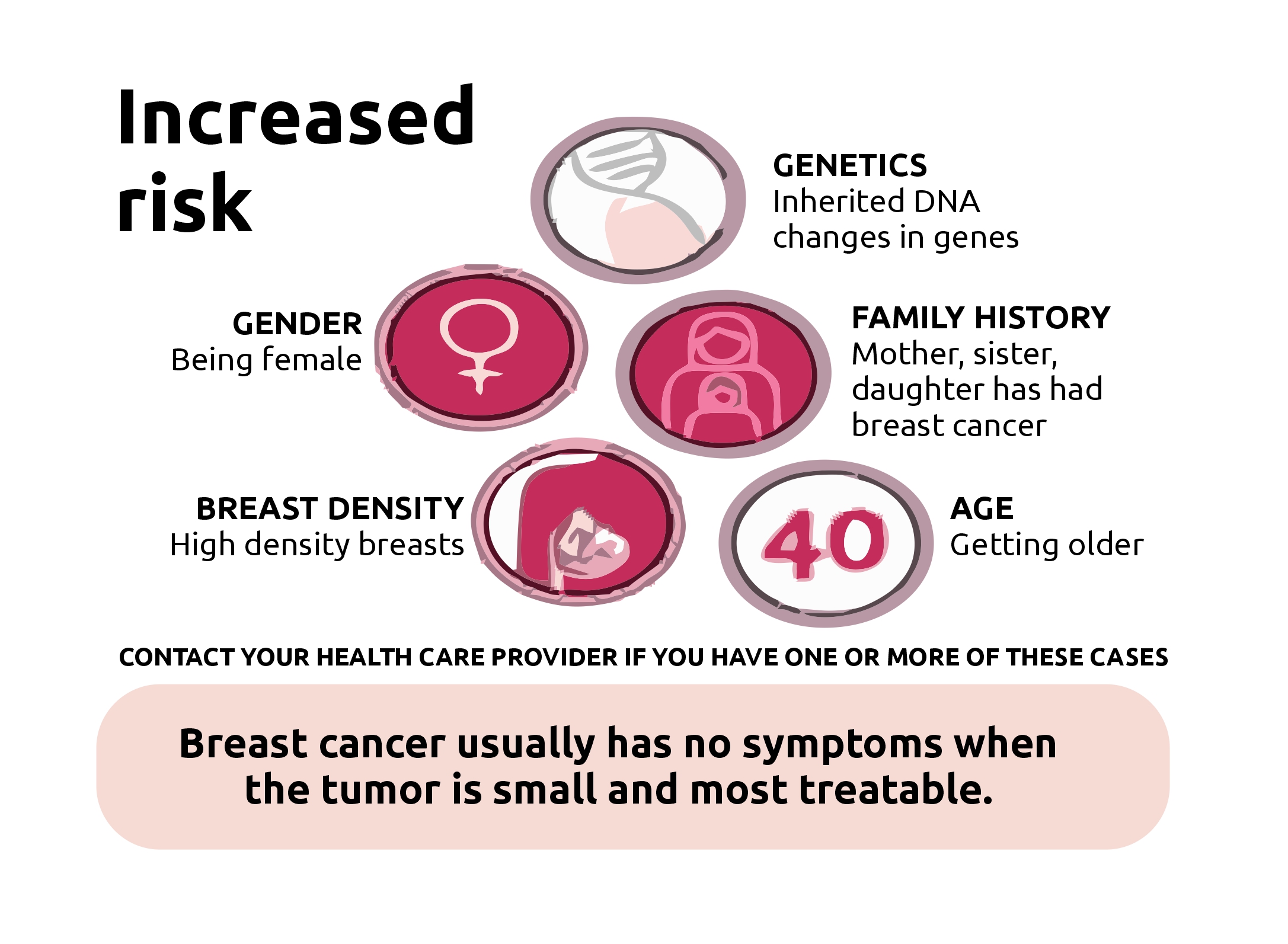 Do you have a greater risk of breast cancer if your breasts are big or  small?